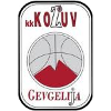 https://img.jewelvm.com/img/basketball/team/4b06fe02aaa7da5901e5698485059da0.png